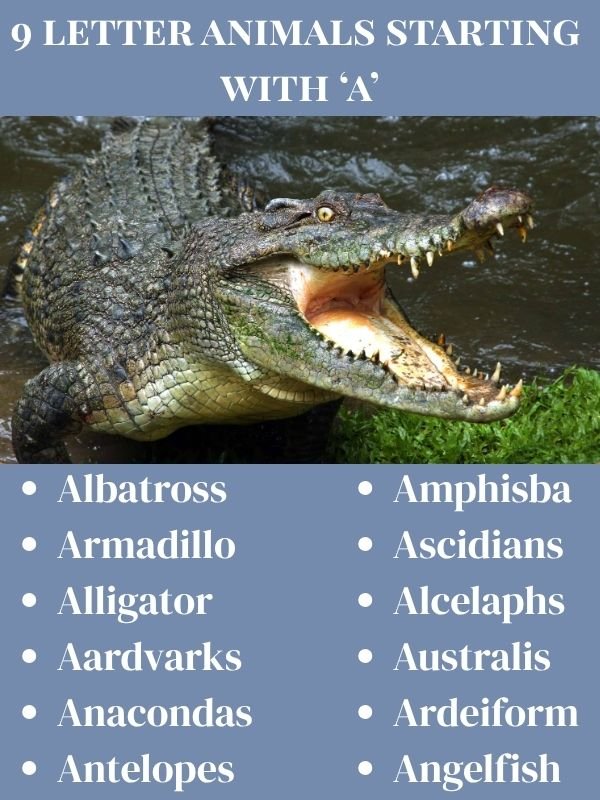 9 letter animals starting with a