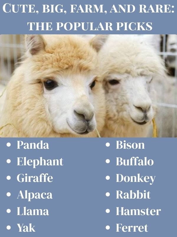 Cute, big, farm, and rare the popular picks
