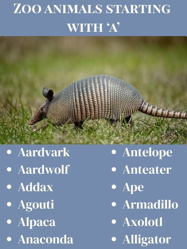 Zoo animals starting with a